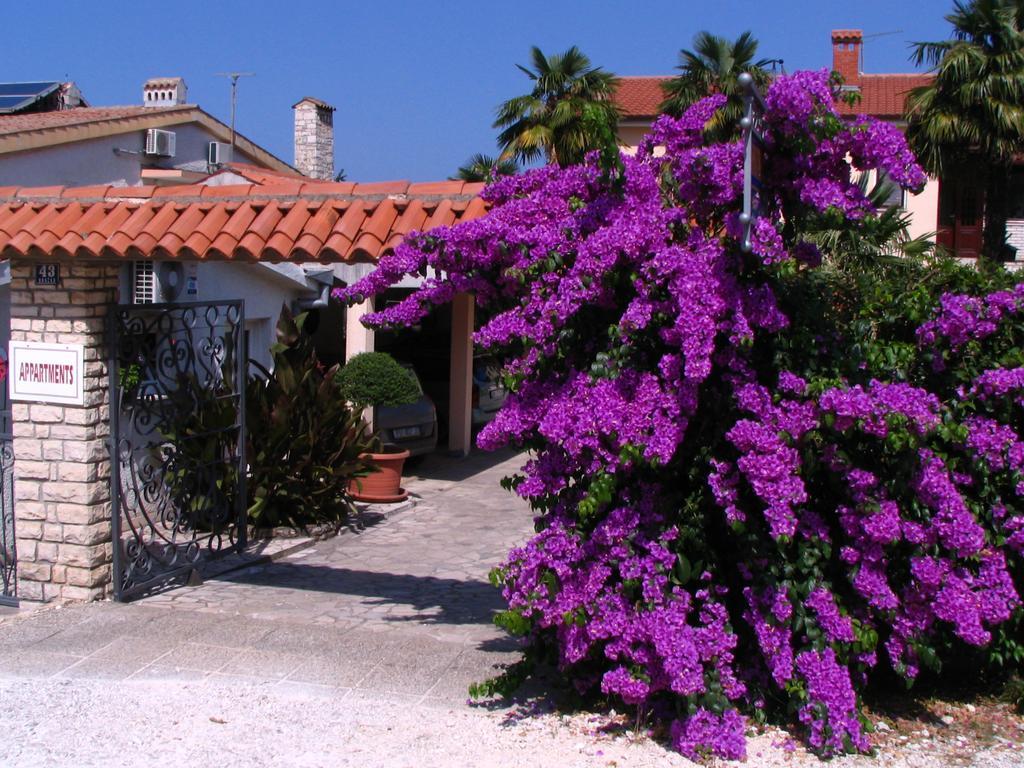 Apartments Nela Poreč Exterior foto